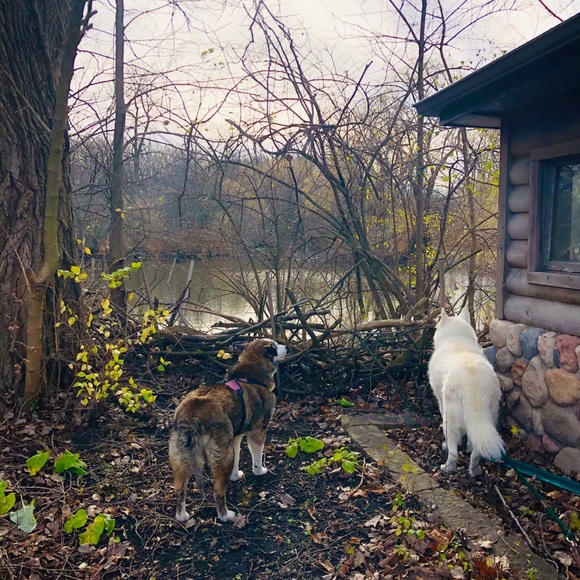 Meet your Posher, Karen - Picture 8 of 16